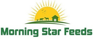 Morning Star Feeds (e-Commerce)